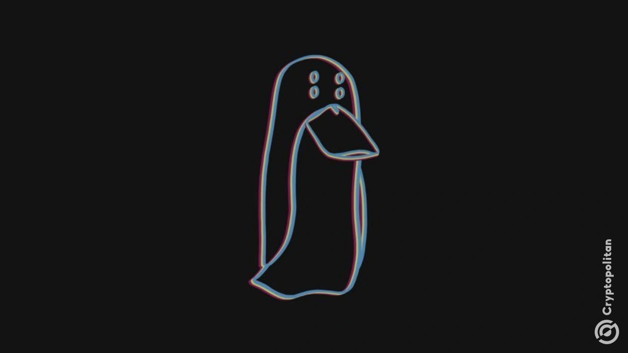 DeFi protocols are ignoring DPRK-linked transactions: ZachXBT