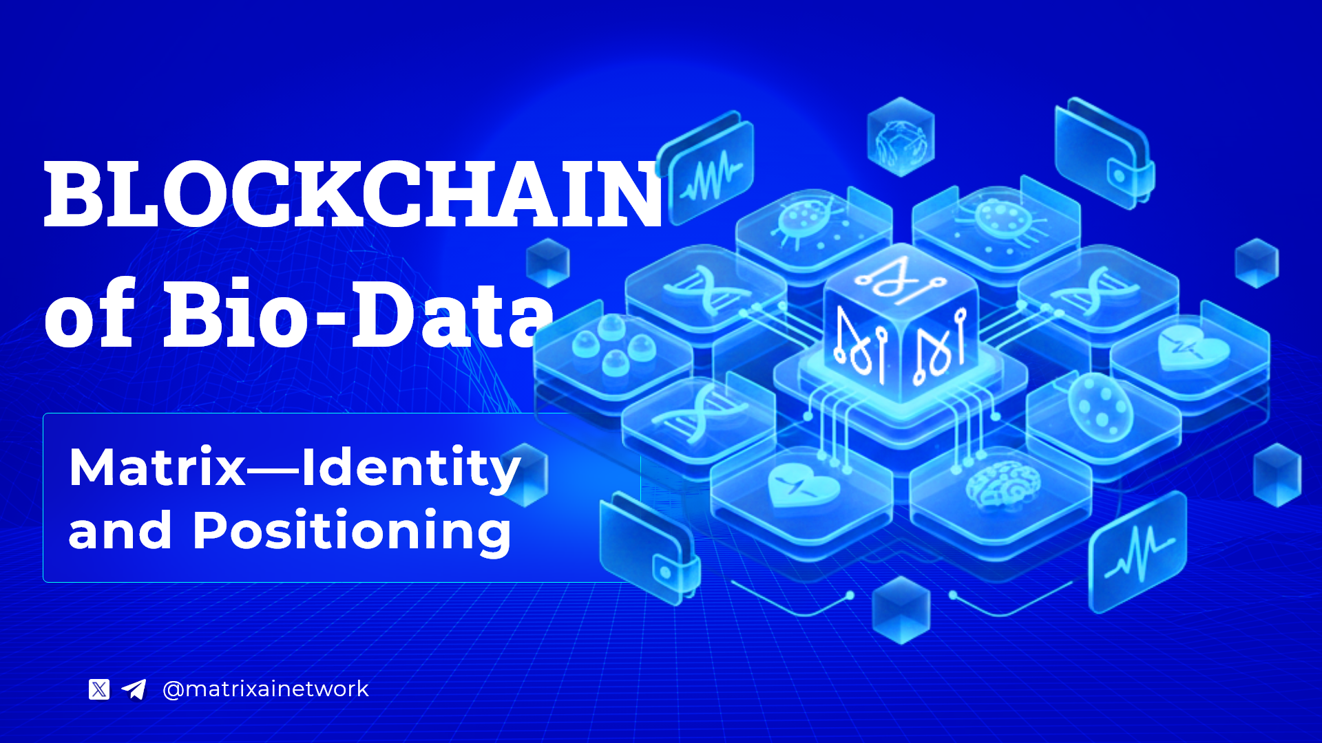 MATRIX AI NETWORK - Identity and Positioning