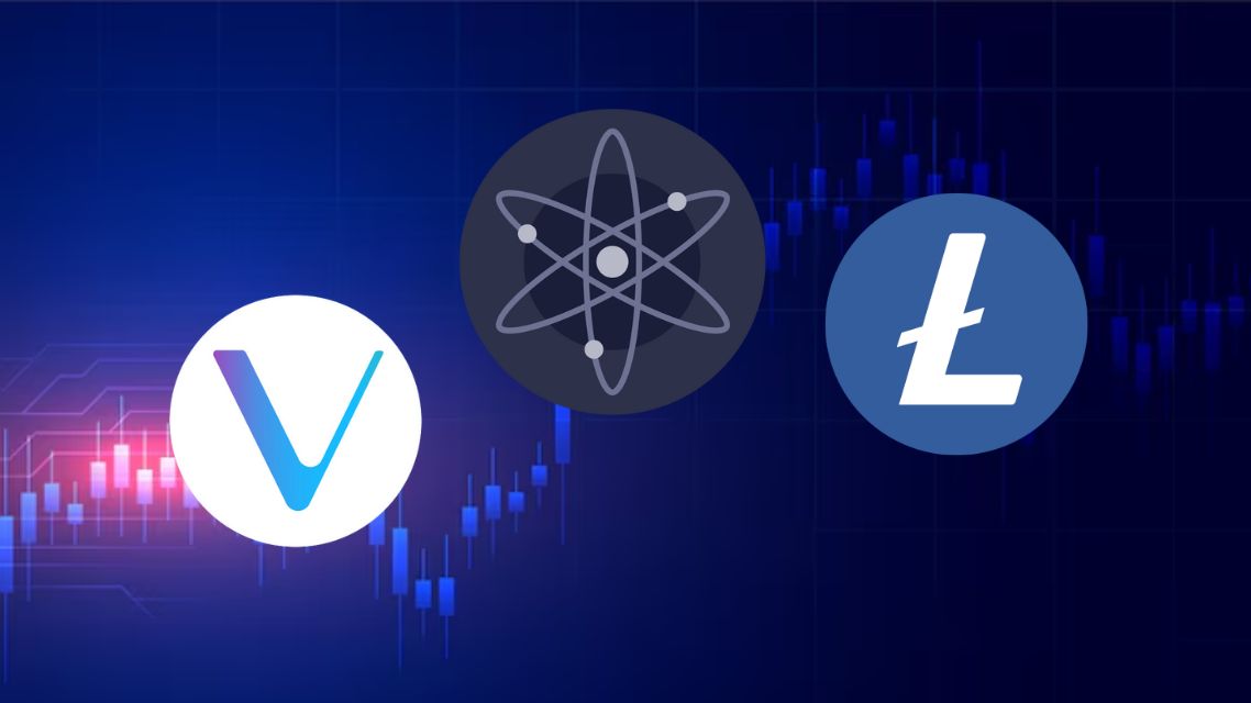 Key Reasons Why ATOM, VET & LTC Holders Could Big Win in 2025