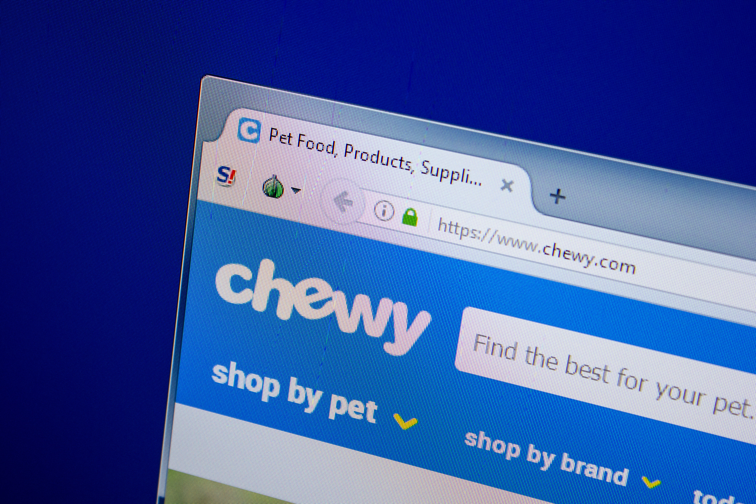 Chewy, Inc. Sees 14.9% Sales Growth, Hits $3.25 Billion in Q4 2024