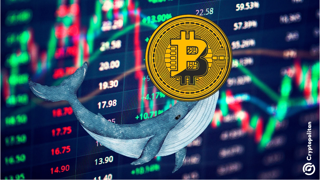 Bitcoin might be down, but whales still want the BTC in exchange reserves