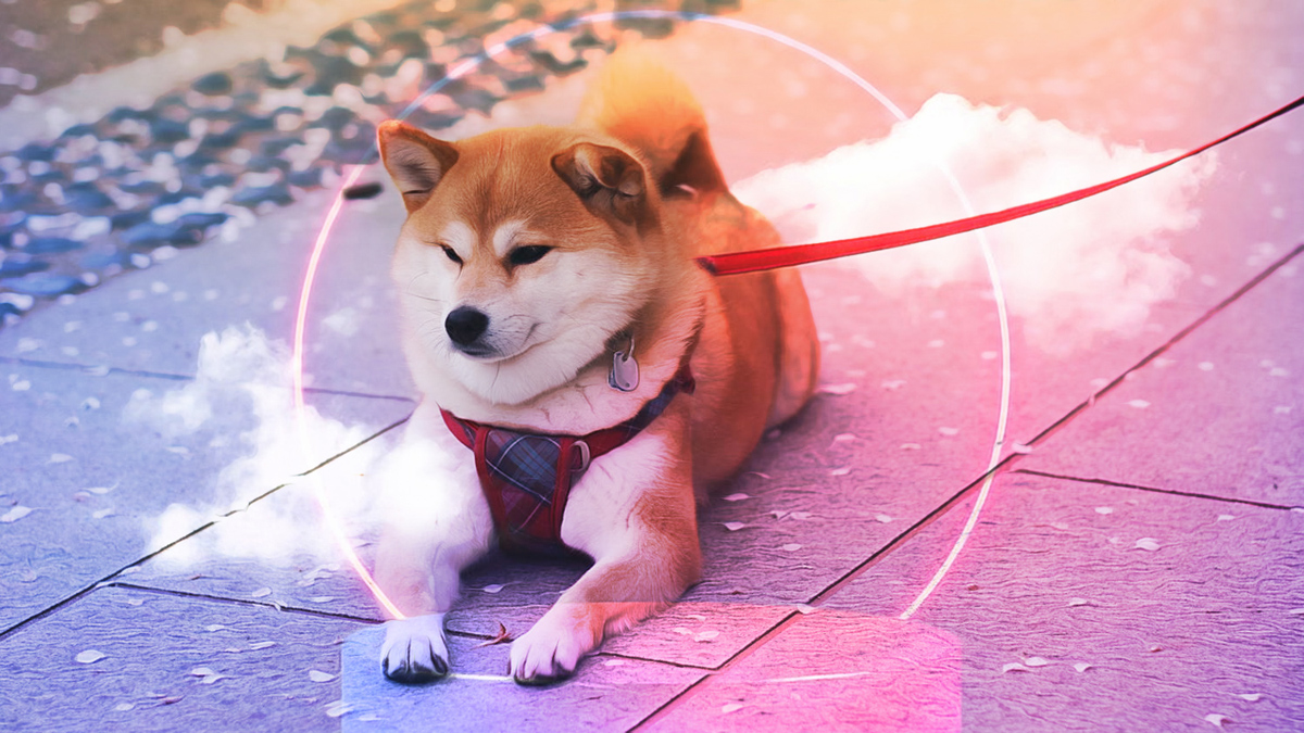 Shiba Inu Coin Sparks Excitement with Promising Developments