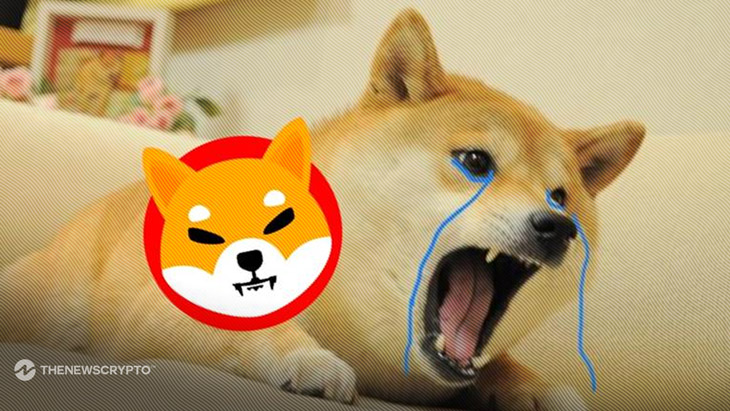 Shiba Inu Eyes 100% Rally as Technical Analysis Points to Channel Breakout