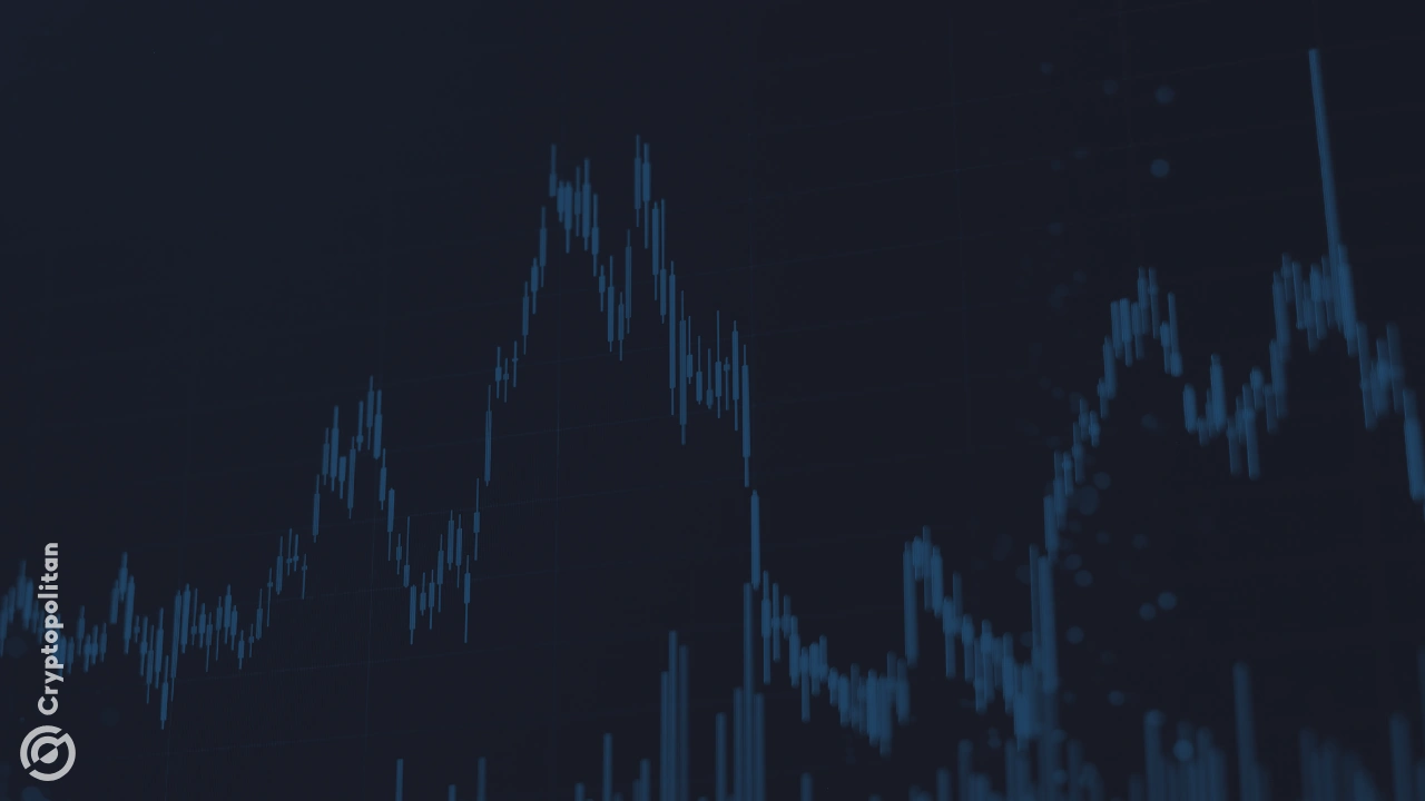Base, Arbitrum lead L2 activity and revenue generation in 2025