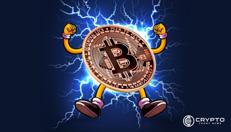 Bitcoin Bull Market Holds Strong as Corporate Adoption Surges