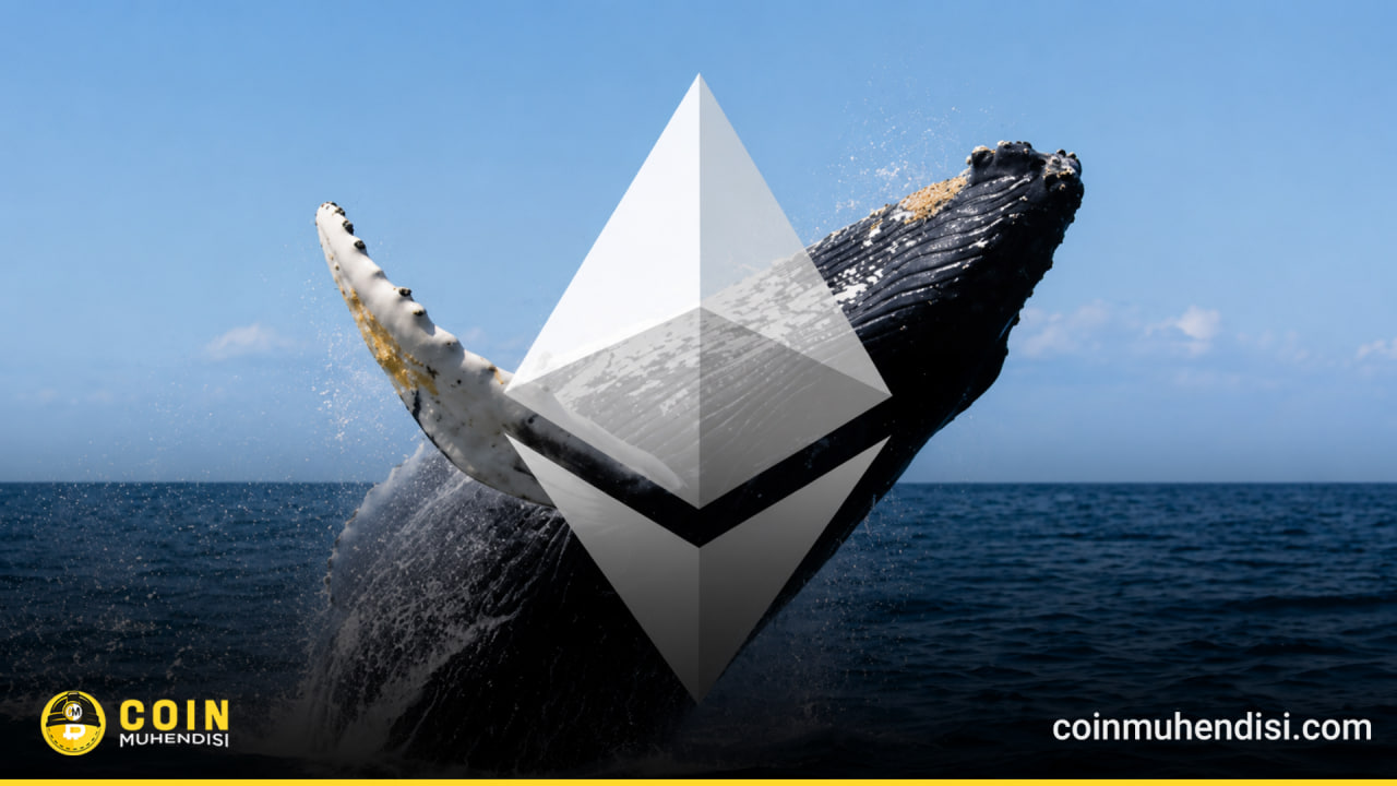 Ethereum Balinası Alımlarını Sürdürüyor: Yeni Hamle!