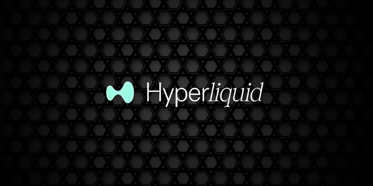 Hyperliquid Addresses Team Wallet Concerns as HYPE Faces Volatile Year