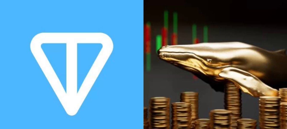 Whale Bags $16.7m Position Across Ton, Near, Pump, & AI Tokens