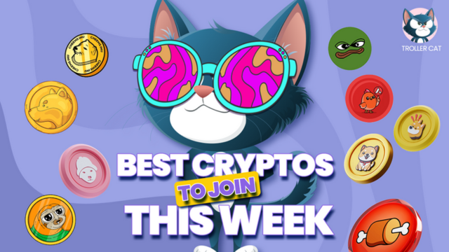 10 Hot Crypto ICOs to Buy Now: Including Troller Cat, Goatseus Maximus, and Other Goldmines