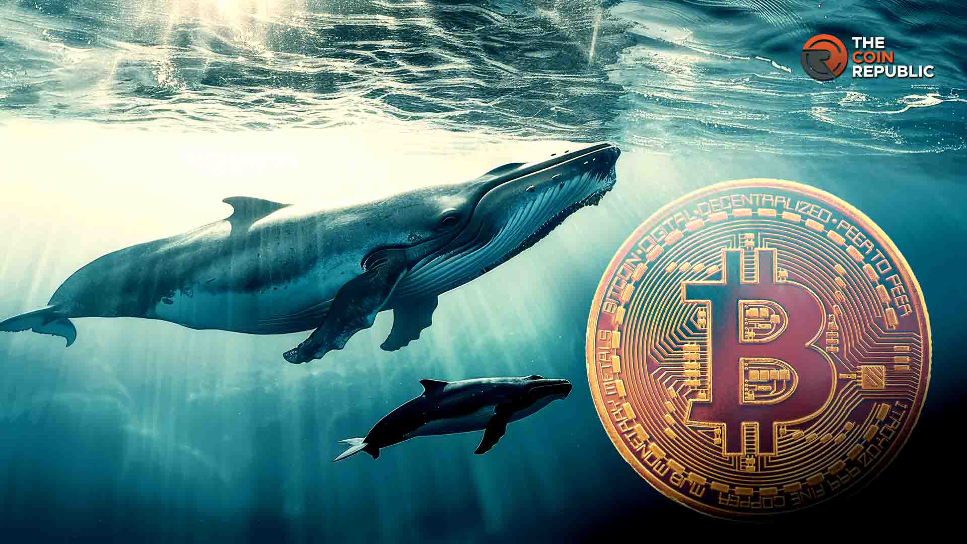 Bitcoin Whales Accumulate $13B, $90K Price Surge Possible?