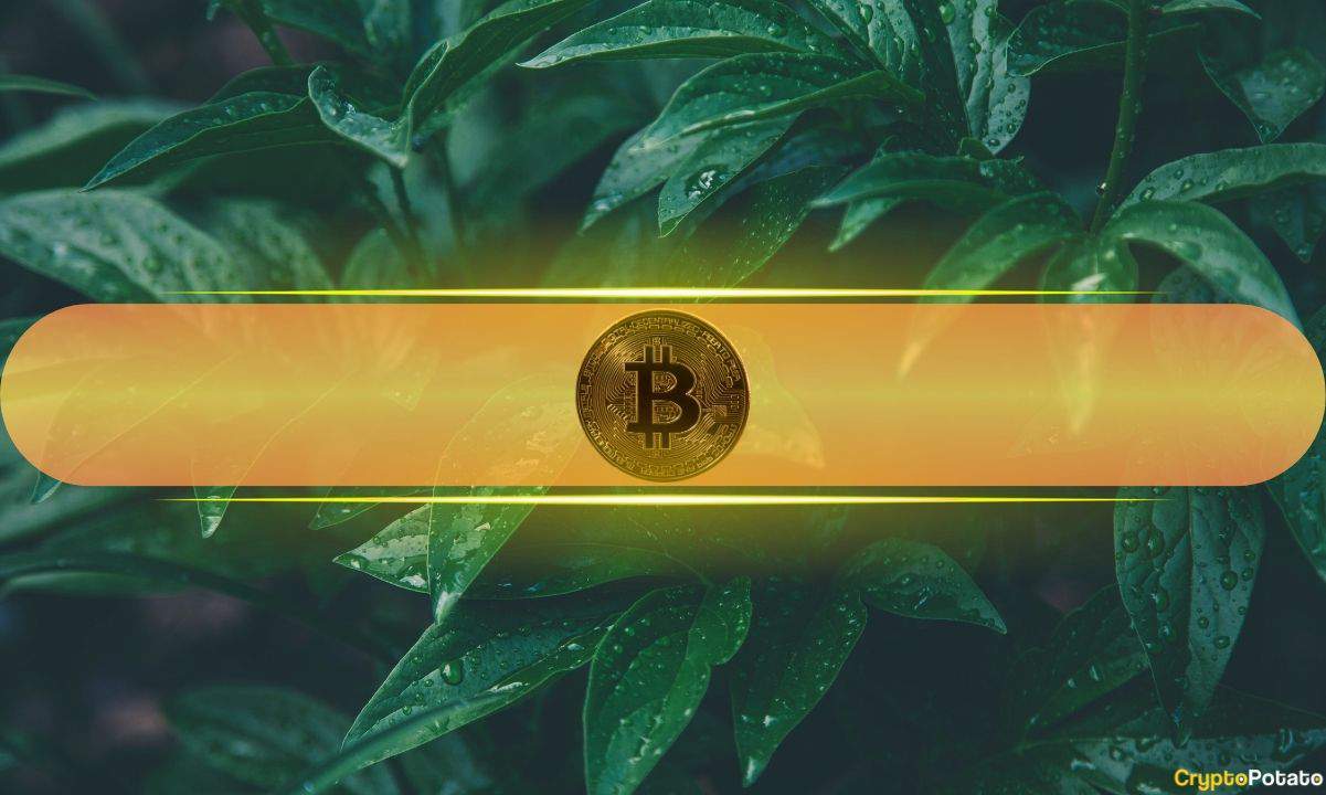 Analyst: Bitcoin’s Healthy Volatility Band Points to Realistic $130K Target