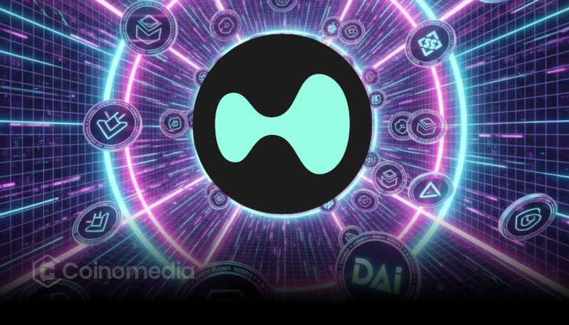 HyperEVM Tops 24H Stablecoin Inflows Chart